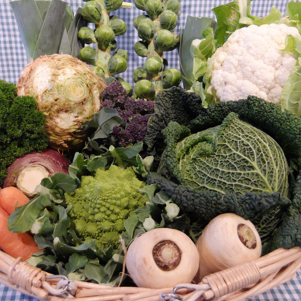 We grow Courgettes, Winter Squashes, Cauliflower, Romanesco, Cabbage, Curly Kale, Cavolo Nero (Black Kale), Kalettes, Leeks, Swede, Red Cabbage, Celeriac, Sprouts, Broccoli, Purple Sprouting Broccoli, Lettuce, Beetroot, Runner Beans, Spinach & Parsley