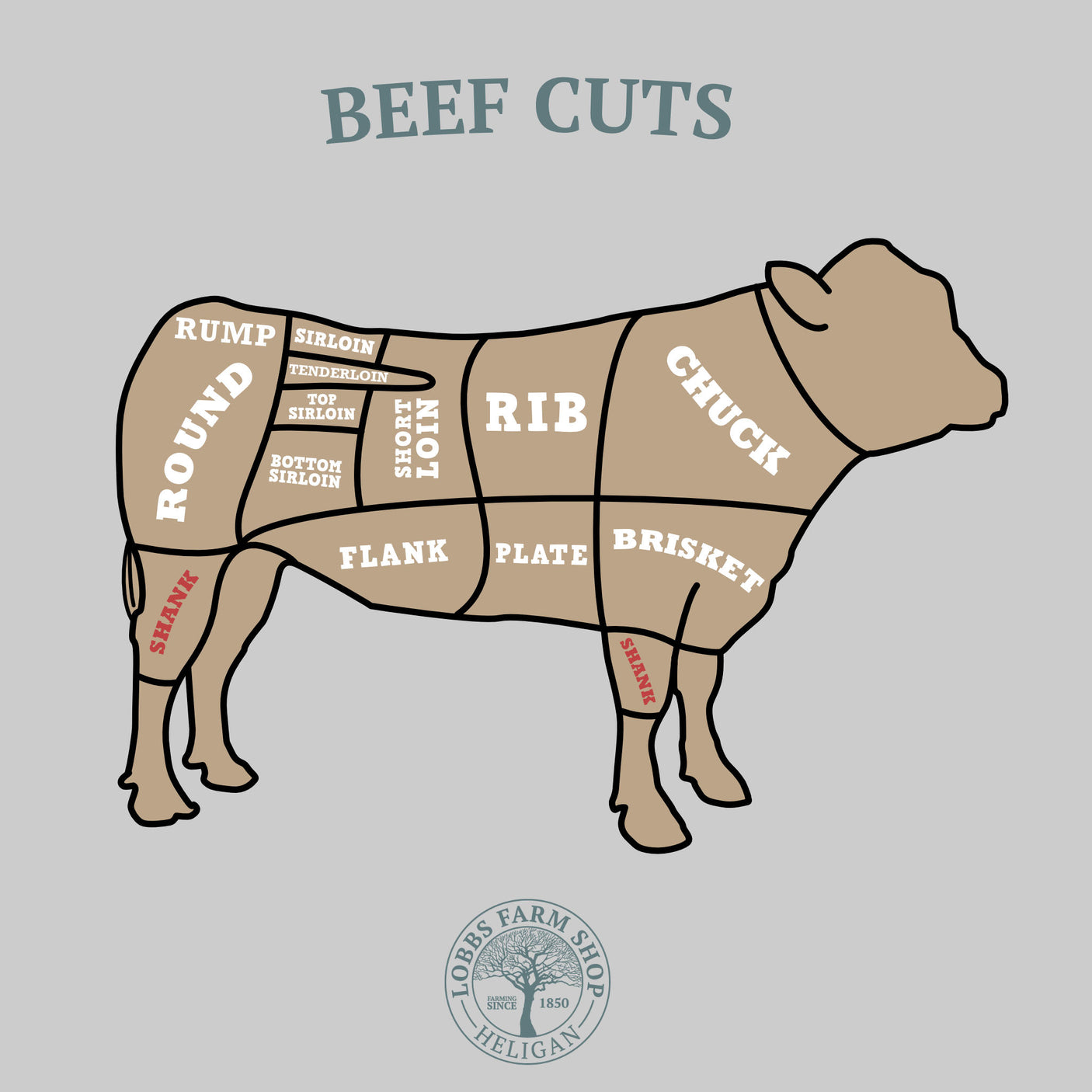 Lobbs Own Grass Fed Beef - Shin of Beef