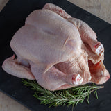 Free Range Chicken - Whole Chicken